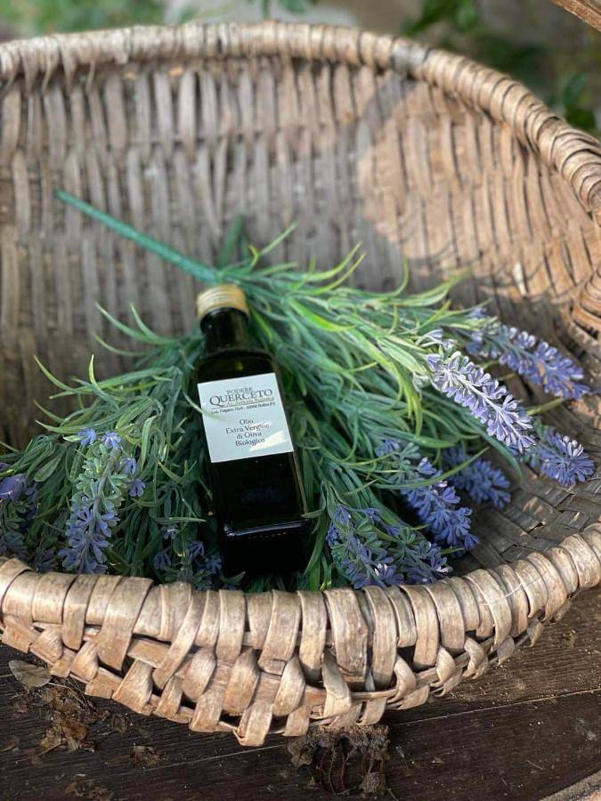 Agriturismo Podere Querceto in Rufina, Prowincja Florencja
