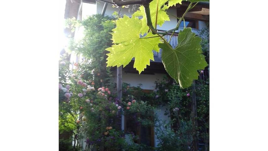 Ferienhaus für 4 Personen, mit Terrasse in Fünfseenland - 2