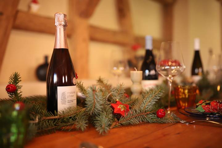 Ferienhaus für 16 Personen, mit Garten und Balkon sowie Pool, kinderfreundlich im Elsass