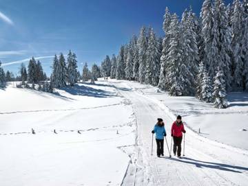 Ferienhaus für 8 Personen in Alberschwende, Bregenzerwald, Bild 2