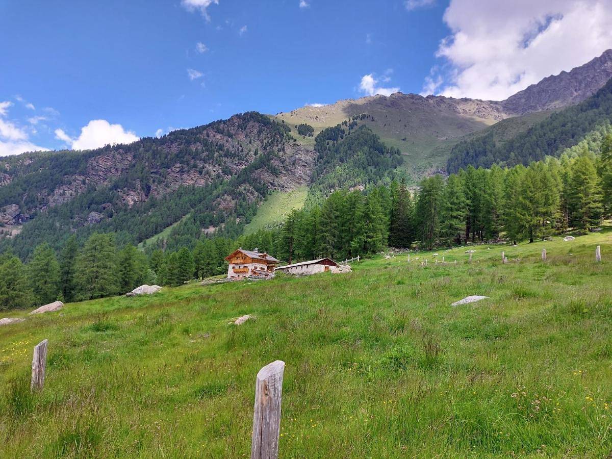 Monolocale intero, Studio in Peio, Parco Nazionale dello Stelvio