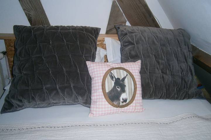 Location de vacances pour 24 personnes à Champagné-Saint-Hilaire - 2