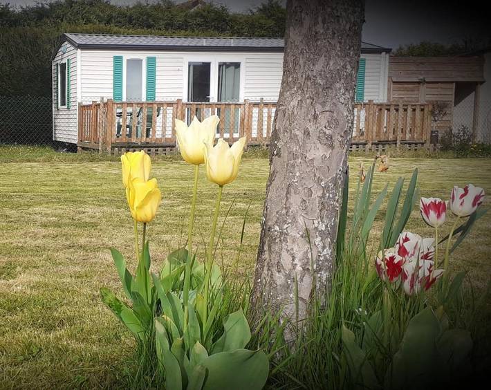 Camping pour 6 personnes, avec Jacuzzi et Terrasse ainsi que Jardin et Vue
