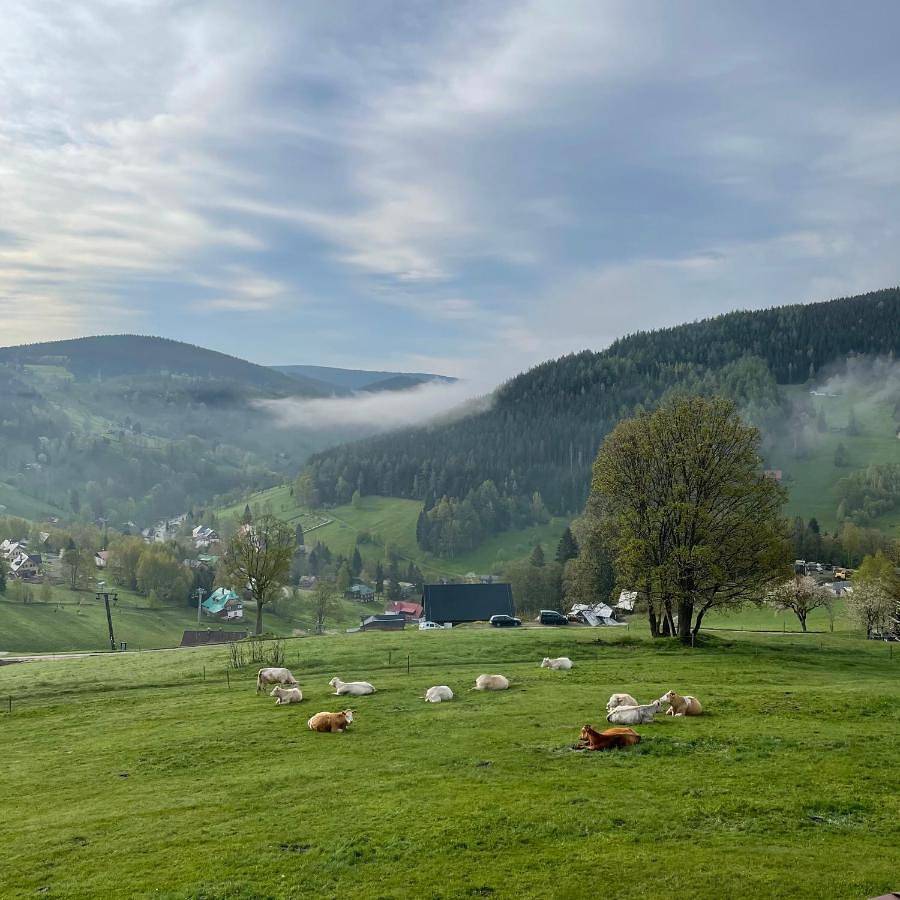 Chalet in Pec pod Sněžkou, Region Trautenau