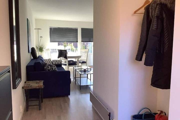 Ganze Wohnung, Sylviabo in Skien city center in Skien