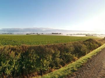 Ferieudlejning til 8 Personer i Hummingen, Dannemare, Billede 1