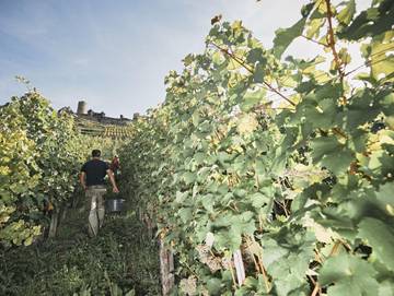 Ferienwohnung für 4 Personen in Alken, Osteifel, Bild 3