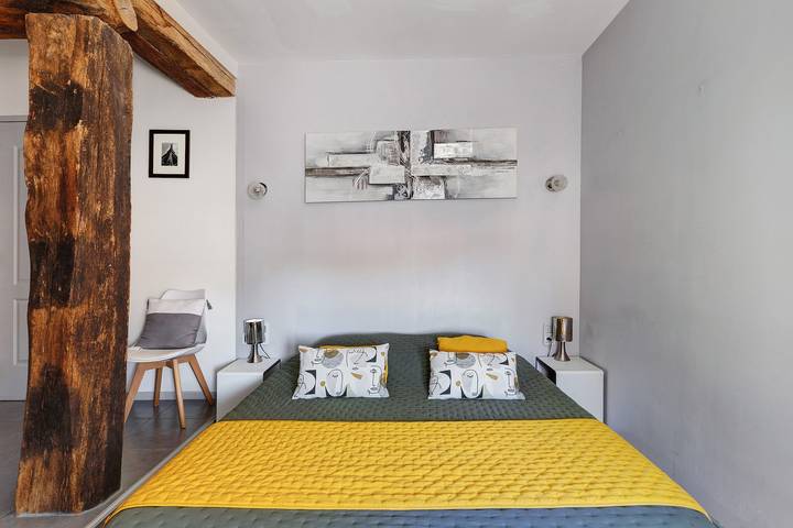 Chambre d’hôte pour 5 personnes, avec Jardin à Vienne (France) - 4