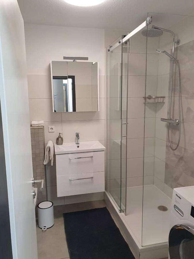 Ganze Wohnung, Businessappartement Nr 2 in Worms, Kurpfalz