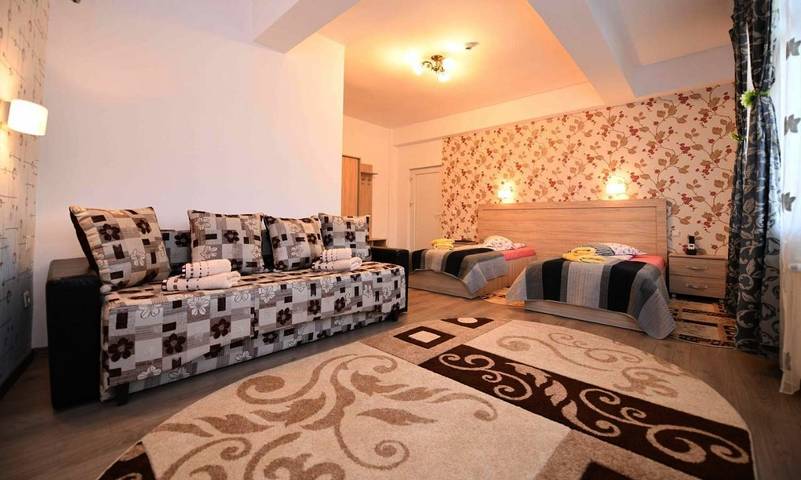 Maison d’hôte pour 2 personnes, avec jardin, animaux acceptés en Roumanie - 2