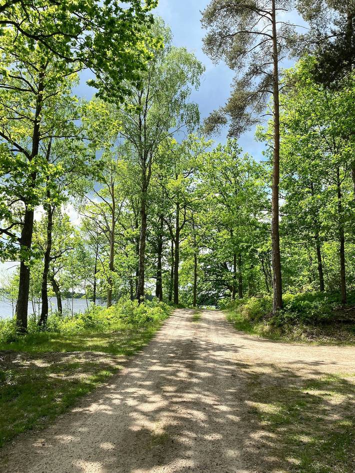 Traditionellt svenskt hus i skogens djup in Kronobergs