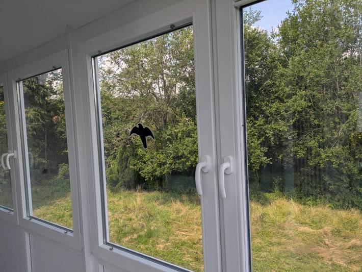 Bungalow für 7 Personen, mit Garten im Hunsrück - 3