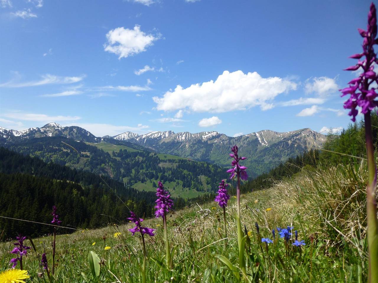 Entire holiday apartment, Ferienwohnung Friederich in Fischen, Bavarian Swabia
