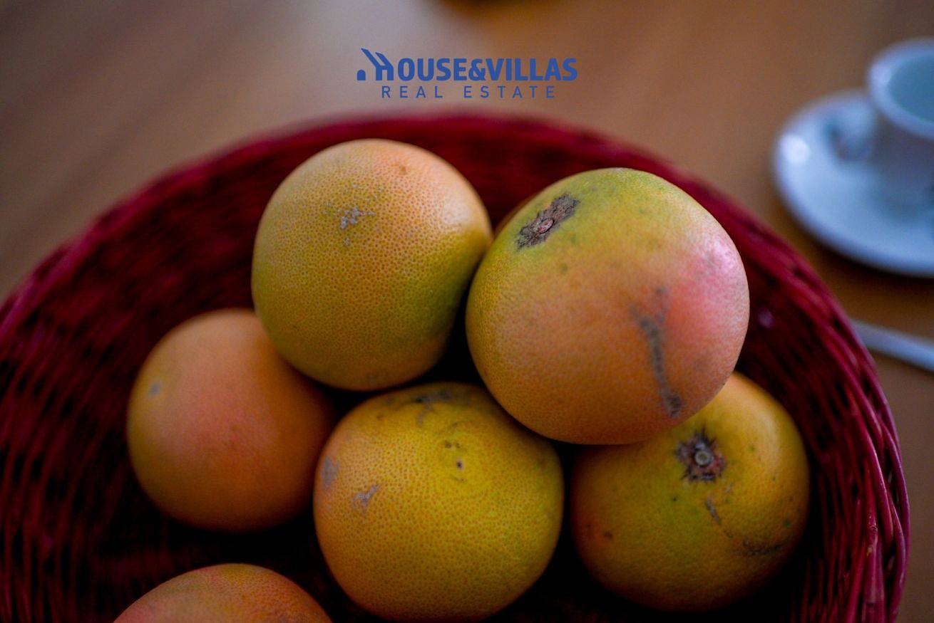 Apartamento entero, House&Villas - Avola nel Cuore-Appartamento Ele in Avola, Provincia de Siracusa