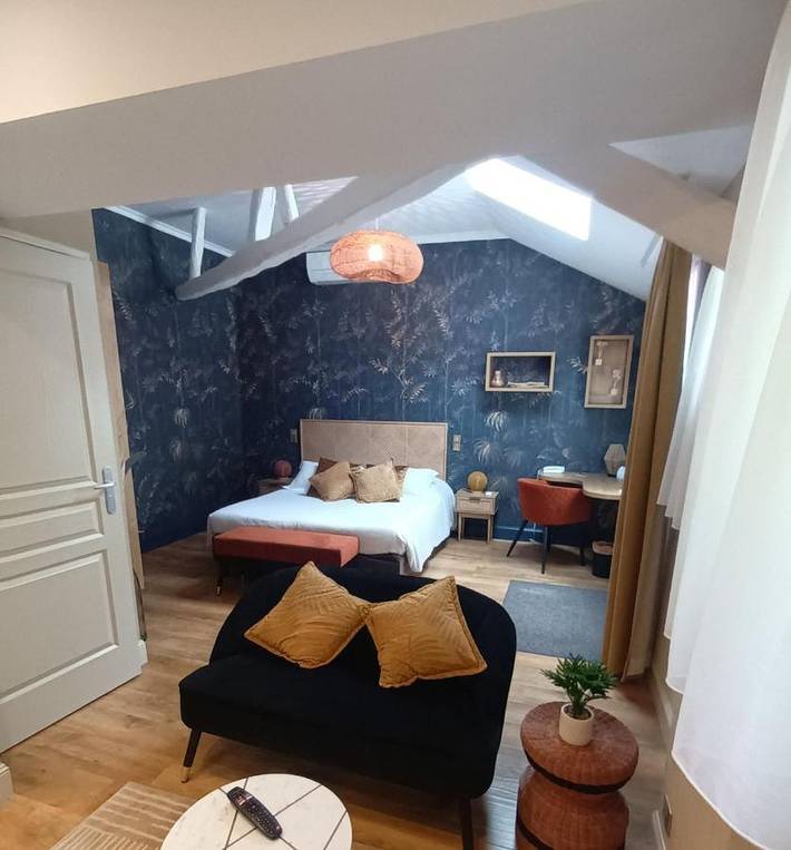 Hôtel pour 2 personnes, avec Terrasse et Jardin dans Gare d'Amboise