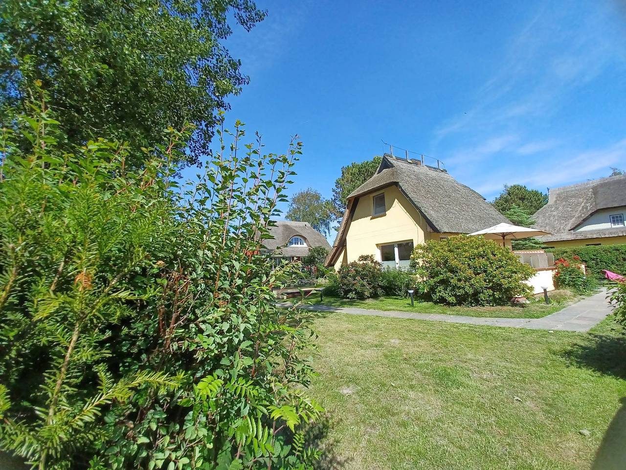 Ganze Ferienwohnung, Haus Seestern in Ahrenshoop, Fischland