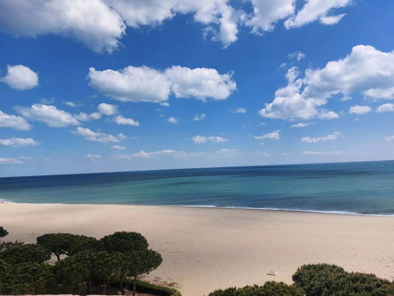 Ganze Wohnung, 1 Zimmer 4 Personen in La Côte Vermeille, Argelès-sur-Mer