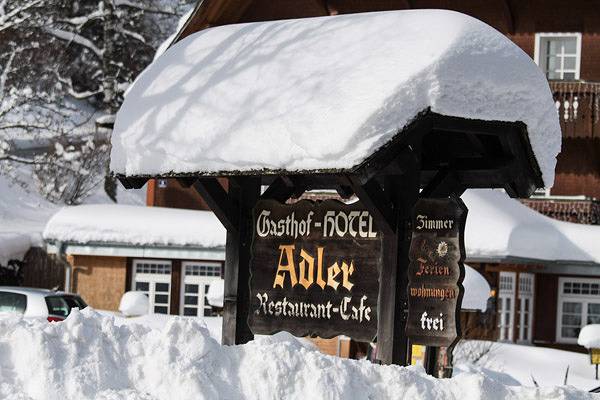 Hotel Adler Bärental - Doppelzimmer Standard in Feldberg, Forêt-Noire du Sud