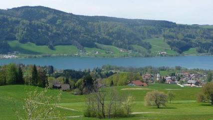 Bauernhof für 6 Personen in Zell am Moos, Irrsee, Bild 2