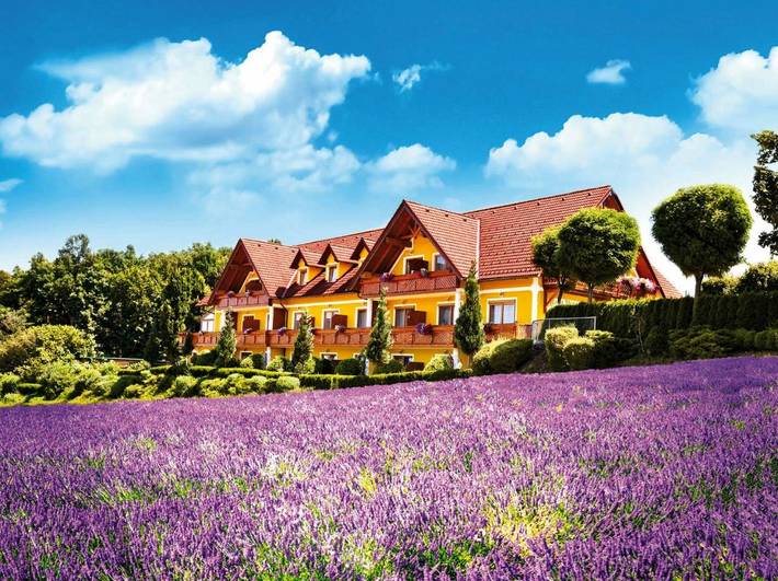Hotel für 2 Personen, mit Terrasse und Garten in Jennersdorf
