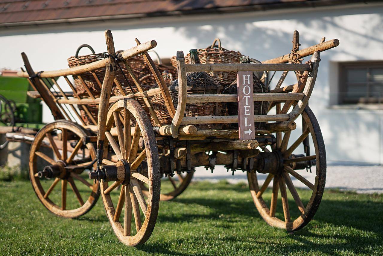 Presshaus, Dusche, Wc, 1 Schlafraum in Schützen am Gebirge, Leithaberg
