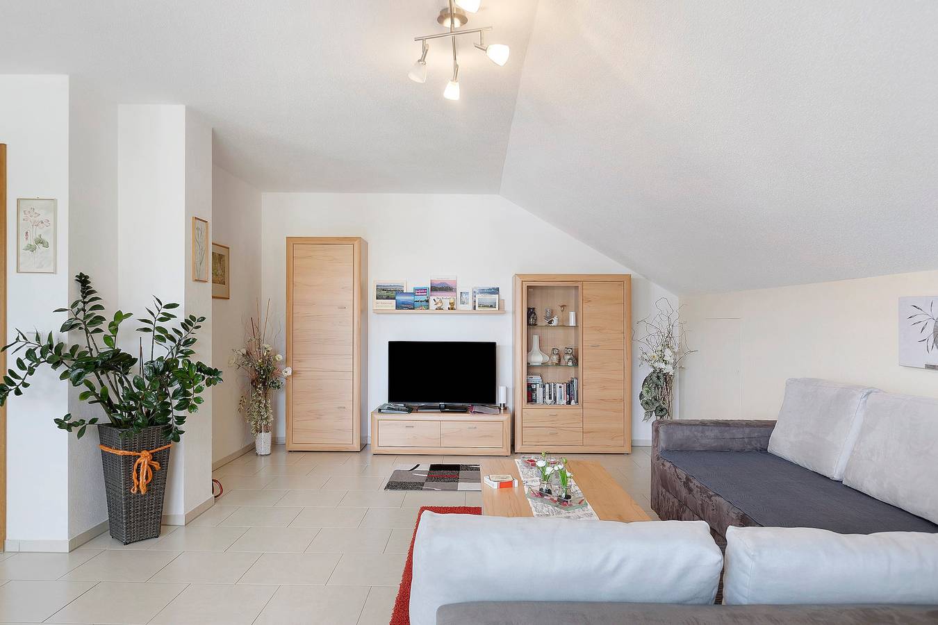 Ganze Wohnung, Ferienwohnung Eva Heinemann mit Bergblick, Balkon und Wlan in Singen, Hegau