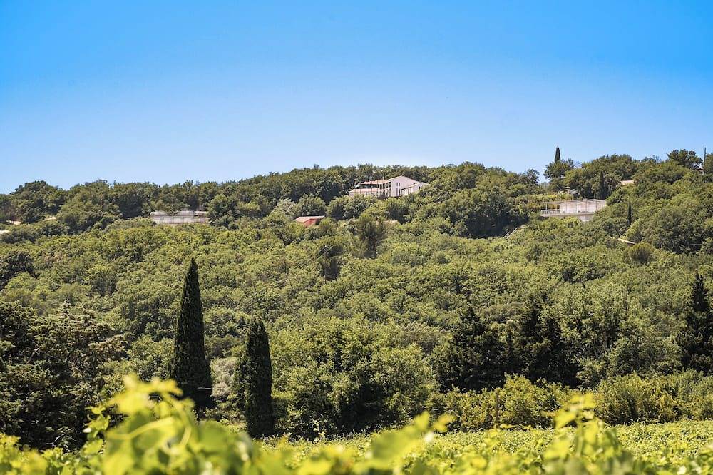 Les Hauts d'Avignon - Guesthouse - Room 1 in Rochefort-du-Gard, Nimes region