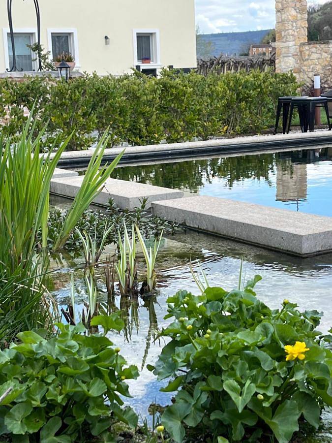 Location de vacances pour 2 personnes, avec jardin et vue ainsi que piscine et sauna à Colognola ai Colli - 4