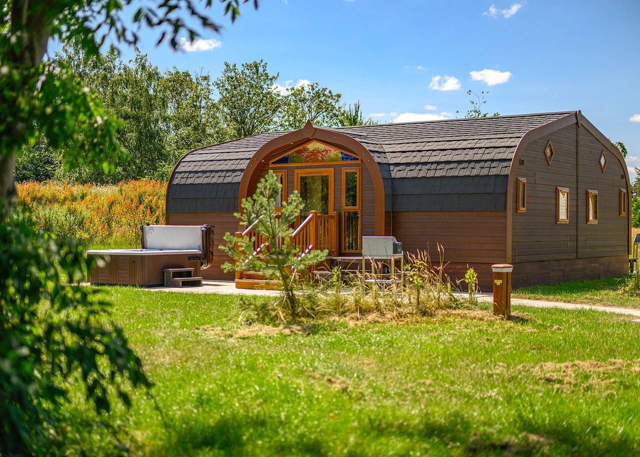 Hedgehog Vip in Sherwood Forest, Nottinghamshire