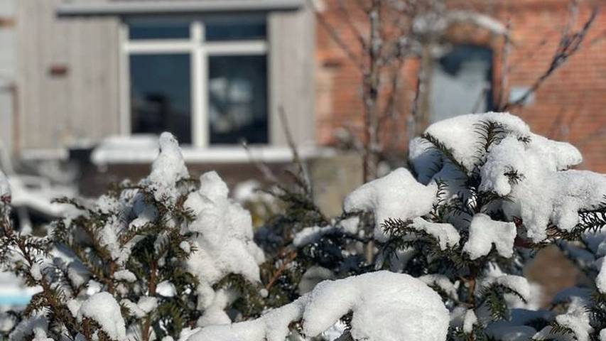 Ferienhaus für 3 Personen, mit Pool und Garten sowie Sauna und Whirlpool, kinderfreundlich in der Oberlausitz