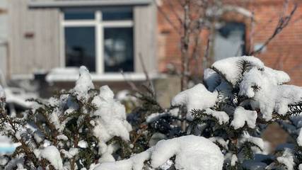 Ferienhaus für 3 Personen, mit Pool und Whirlpool sowie Sauna und Garten, kinderfreundlich in Elsterheide