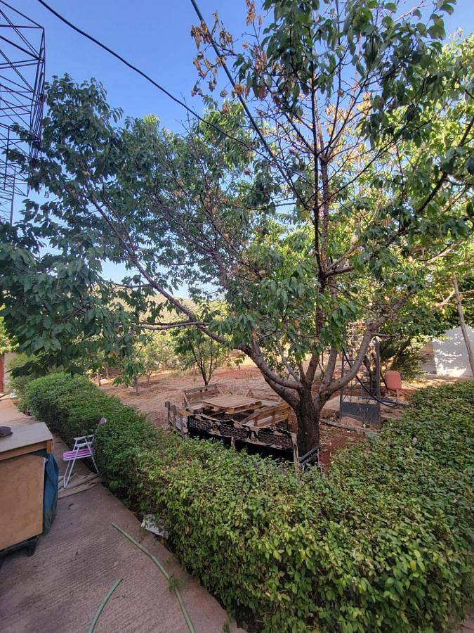 Gîte pour 8 personnes, avec jardin et vue dans Imouzzer du Kandar - 4