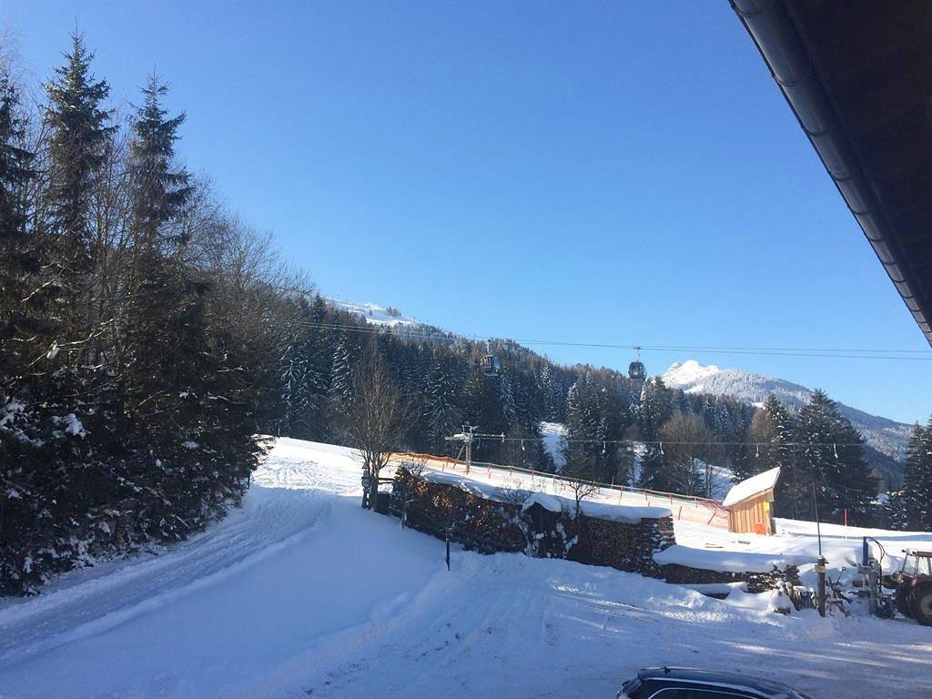 Geheel vakantieappartement, Appartement, bad, Wc, 4 of meer slaapkamers in Leogang, Saalbach-Hinterglemm