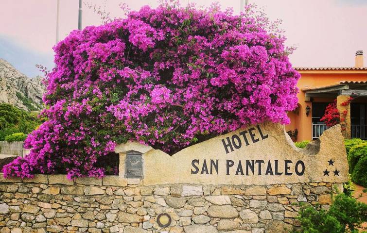 Hotel für 3 Personen, mit Pool und Garten in San Pantaleo - 2