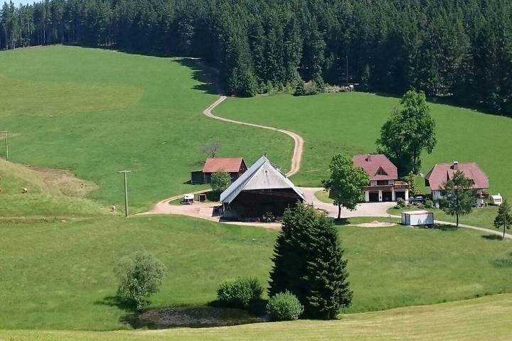 Entire apartment, Apartment "Pusteblume" with terrace & Wifi in Schollach (Eisenbach Hochschwarzwald), Eisenbach Hochschwarzwald