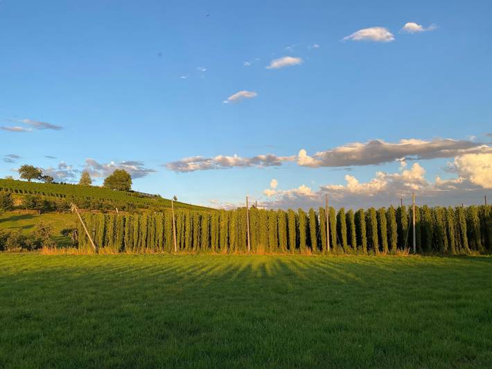 Casa de vacaciones 'Zwei' con terraza compartida, jardín compartido y Wi-Fi in Kressbronn, Region Bodensee-Oberschwaben
