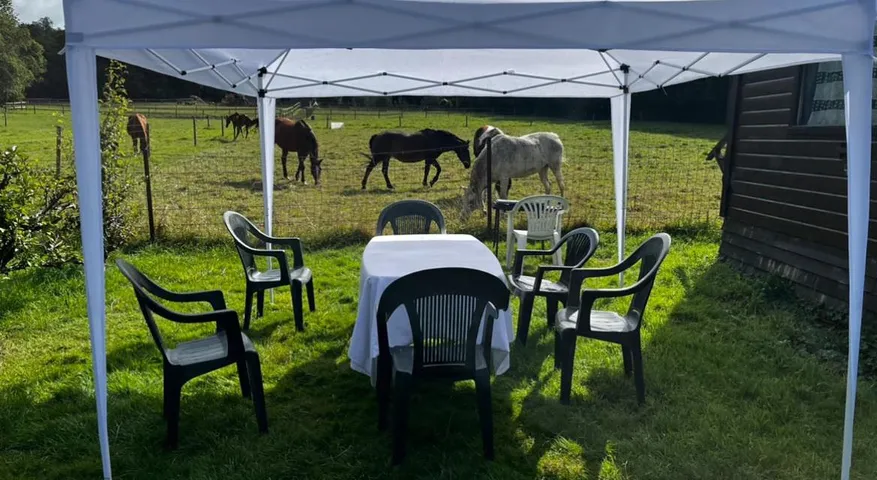 Camping pour 6 personnes, avec terrasse ainsi que vue et jardin, animaux acceptés - 1
