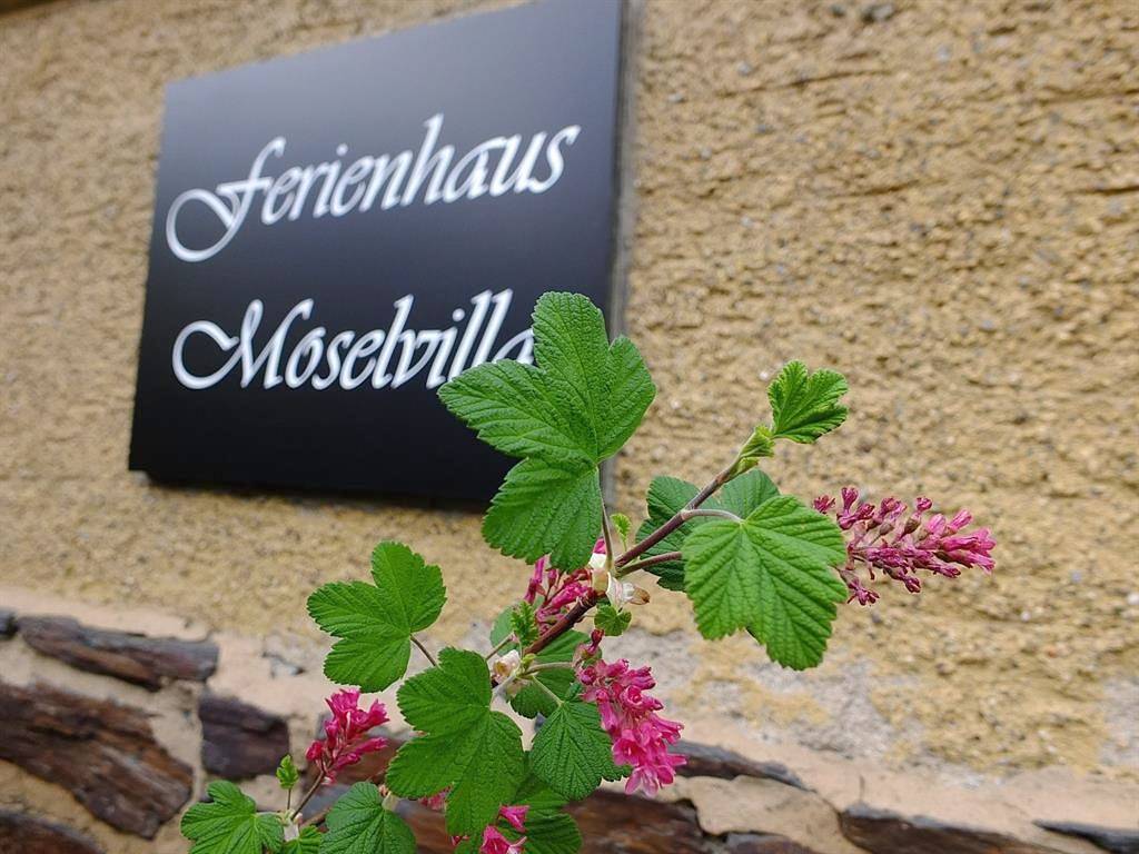 Ferienhaus, Dusche und Badewanne in Enkirch, Bernkastel-Kues & Umgebung
