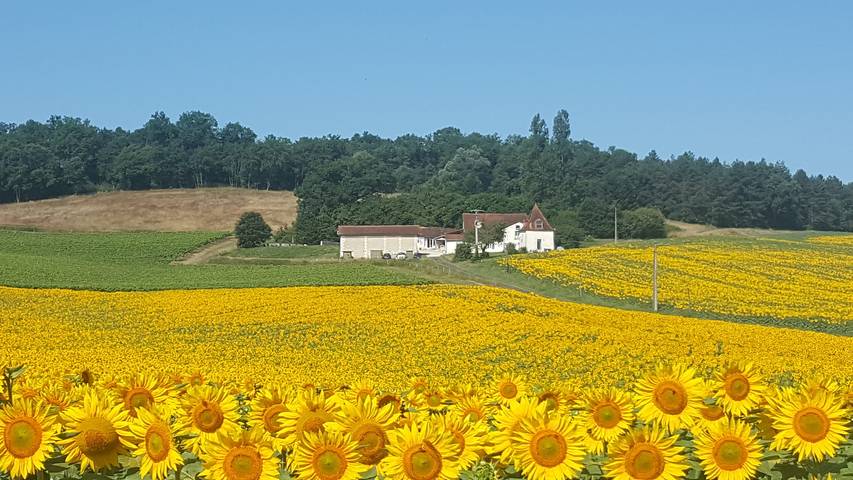 Gîte pour 9 personnes, avec Piscine à Courgeac - 3