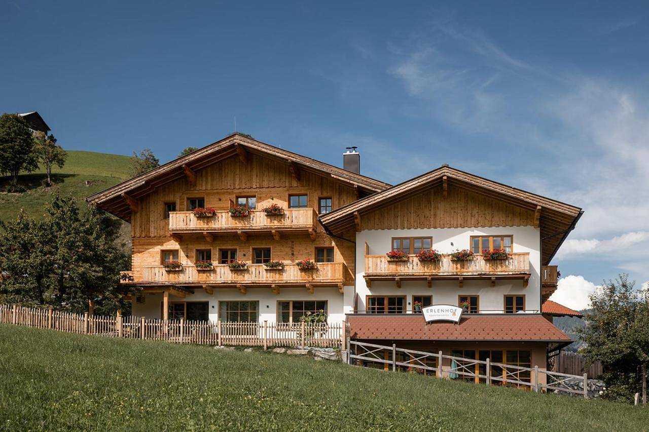 Erlenhof Appartements in Grossarl, Ski Amadé