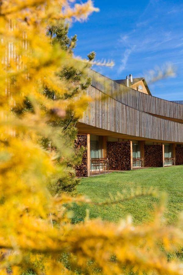 Hôtel pour 4 personnes, avec jardin et sauna ainsi que jacuzzi et piscine à Zernez - 2