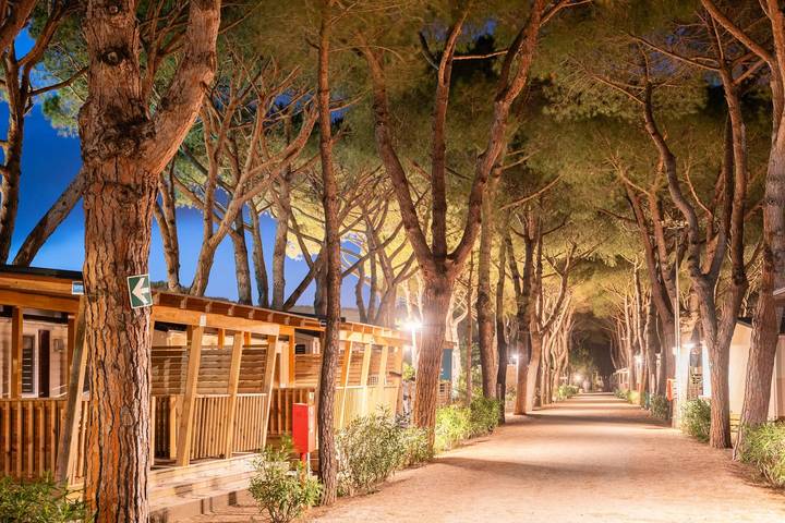 Camping für 5 Personen, mit Pool in Orbetello - 2