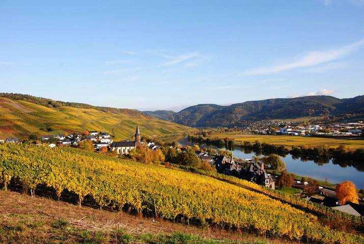 Hotel für 2 Personen, mit Ausblick und Garten in Lieser - 2