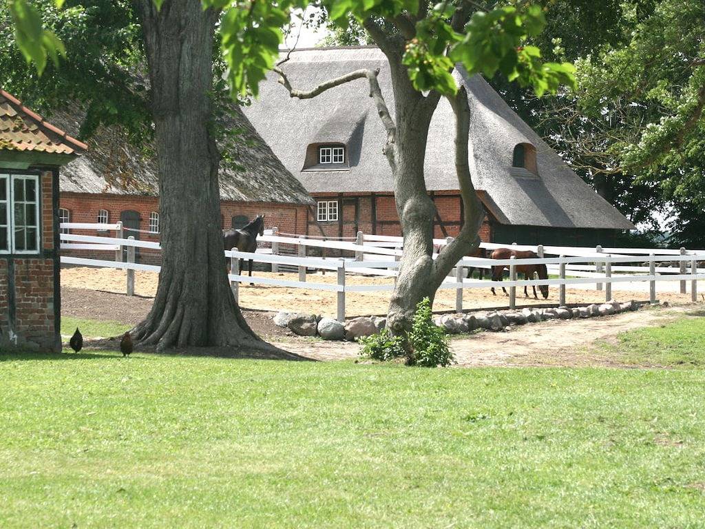 Ferienwohnung mit 1 Schlafzimmer in Wangels, Hohwachter Bucht