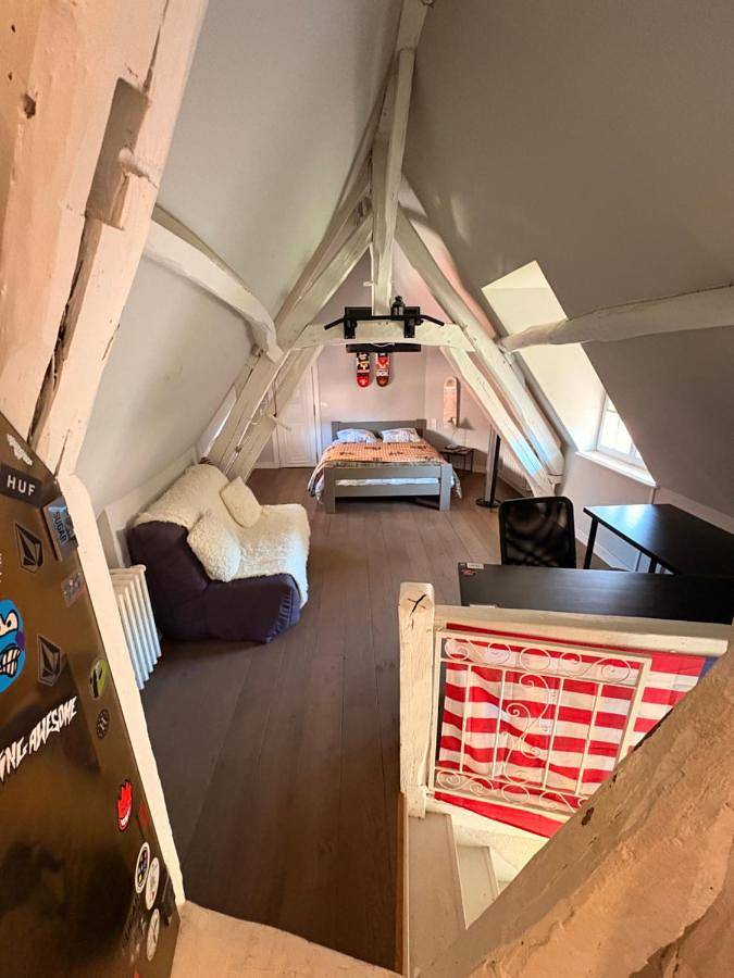 Chambre d’hôte pour 4 personnes, avec Terrasse ainsi que Jardin et Vue à Chaumont-sur-Tharonne - 3