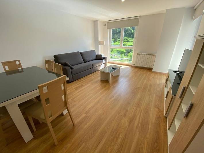 Gîte pour 6 personnes, avec vue et terrasse, animaux acceptés dans Arinsal - 3