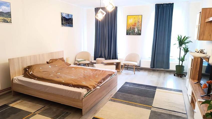 Gîte pour 4 personnes, avec terrasse et vue dans Baia Mare