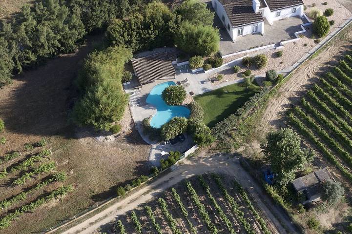 Ferienhaus für 12 Personen, mit Balkon und Garten in Palmela