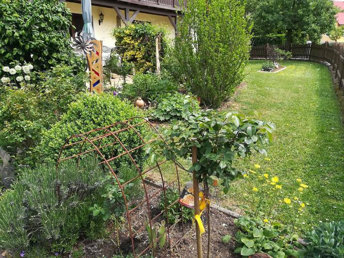 Ferienwohnung für 4 Personen, mit Ausblick und Garten in Gräfenberg - 3