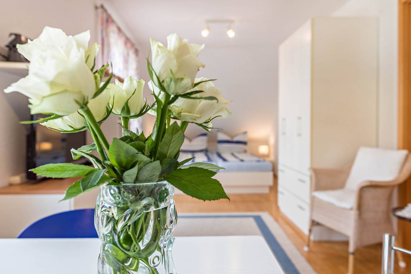 Entire apartment, Cozy Studio Apartment "Ingrid Heyes" with 3 Dtv stars, Wi-Fi & Terrace in Radolfzell, Radolfzell am Bodensee
